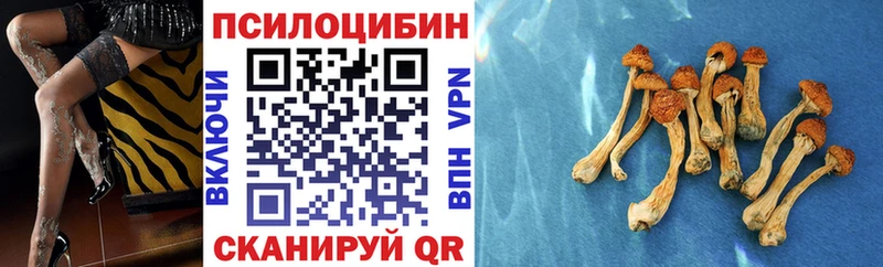 дарнет шоп  Магнитогорск  Галлюциногенные грибы Magic Shrooms 