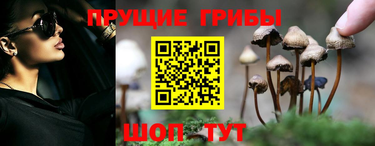 Галлюциногенные грибы Cubensis Магнитогорск