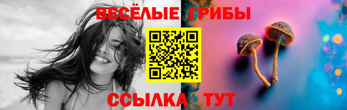 Псилоцибиновые грибы мухоморы  Псилоцибиновые грибы мицелий  Вход с VPN  Магнитогорск 